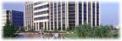 disability income protection insurance