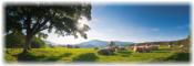 personal insurance NSW